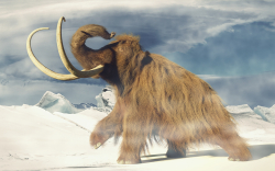 Cardano Creator Invests in Reviving Woolly Mammoths