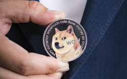 Dogecoin Accumulation Increases by 6.8% After Volume Reaches Almost $500 Million