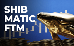 SHIB, MATIC, FTM Among Top Acquisitions of Whales in Past 24 Hours: Report