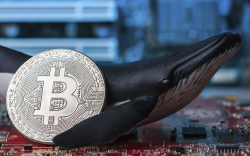 Bitcoin Whales in Uncertainty as BTC Fails to Hold Above $40,000