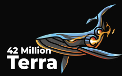 42 Million Terra (UST) Grabbed by Whales: Details