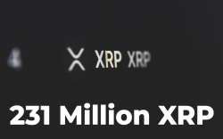 231 Million XRP Wired by FTX, Binance, KuCoin as XRP Is Trending