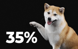 Shiba Inu Profitability Drops to 35% But Whales Are Undeterred: Details