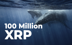 100 Million XRP Purchased by Whale as Coin Consolidates