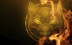 Close to 600 Million SHIB Prepared for Burning Today, 33 Tokens Destroyed Within 24+ Hours