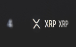 211 Million XRP Moved by Crypto Whales as XRP Trades in $0.79 Range 