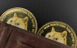 Grayscale Founder Teases Dogecoin Community in Recent Tweet: Details