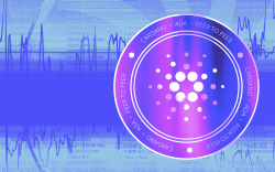 Cardano Network Transaction Count Spikes to 140,000 as Number of Projects On-chain Increases