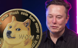 This Elon Musk’s Tweet Carries Hidden DOGE Message, Twitter User Claims