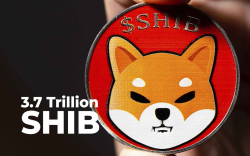 3.7 Trillion SHIB Lands in Whale's Wallet After Massive Purchase: Details