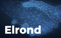 Elrond Announces Partnership to Access Markets in Over 200 Countries: Details