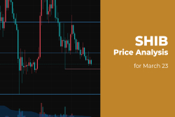 SHIB Price Analysis for March 23