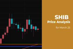 SHIB Price Analysis for March 25