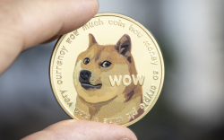 Dogecoin Whales Grow Number of Large DOGE Transactions by More Than 100%, Data Shows