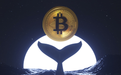 Dormant Bitcoin Whale Awakens After Almost 10 Years 
