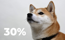 Shiba Inu Comes Back with Massive 30% Spike in March, Whales' Transactions Increase by 349%