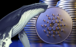 Cardano Sees Inflow of New Whales Since March – They Hold up to 12 Million ADA: Report