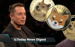 Two Reasons for SHIB Price Move, DOGE Spikes 13% After Musk’s Twitter Deal, El Salvador BTC Adoption Fails: Crypto News Digest by U.Today