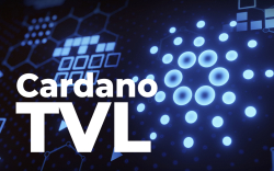 Cardano TVL "Will Fly" When These Conditions Are Met: Cardano Whale