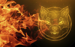 Record 1.3 Billion SHIB Burned But Token Price Remains in Decline