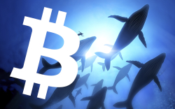 This Bitcoin (BTC) Whale Allocates $1 Million Every Day Regardless of Price. How Much Does He Hold?
