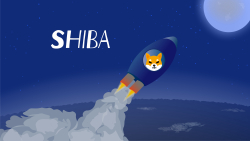 SHIB Metaverse Transactions Exceed 4,500; Here Is Current Bid Event Countdown
