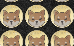 223 Billion SHIB Grabbed by Top Whale as Shiba Inu Returns as Most-Purchased Asset