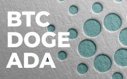 Cardano Founder Aims to Create Network Cross Chain for BTC, DOGE and ADA
