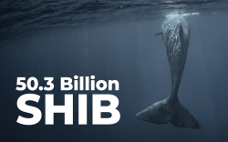 50.3 Billion SHIB Bought by This Whale as SHIB Becomes Most Used Smart Contract