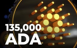 Cardano-Based NFT Piece Goes for Record-Breaking 135,000 ADA