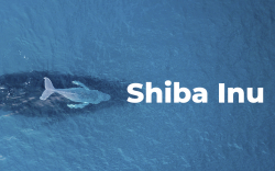 3 Reasons Why Some Ethereum Whales Constantly Buy Shiba Inu Tokens