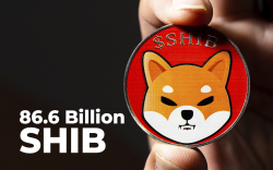 86.6 Billion SHIB Acquired by Whale, Who Grabbed Almost 2 Trillion SHIB in April