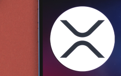 Almost 400 Million XRP Shifted by FTX, Binance and Other Top Crypto Platforms