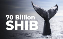 Massive 70 Billion SHIB Purchase Made by This Whale
