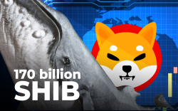 170.5 Billion SHIB Bought by These Whales in Past 2 Days: Report