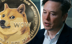 Elon Musk Believes Dogecoin Could Solve Twitter's Spam Bot Problem