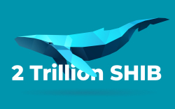 2 Trillion Shiba Inu Whales Grab $9 Million in APE: Report