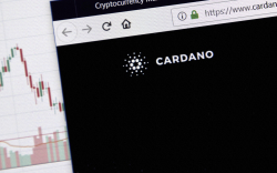 Cardano Retail Interest Soars as Traders' Balance Spikes 190% in 30 Days: IntoTheBlock