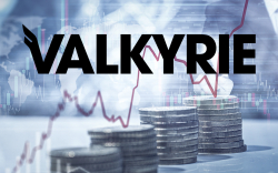 Valkyrie Launches Trust That Invests Directly in Avalanche
