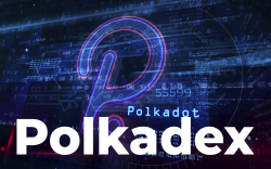 Polkadex Wins 16th Polkadot Parachain Slot Auction with Almost 1 Million DOT Contributed