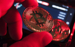 If Bitcoin Breaks Well Below $30,000, Crash Under $10,000 May Follow: Peter Schiff