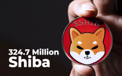 SHIB Army Burns 324.7 Million Shiba in Past 24 Hours, Report Says