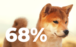 Shiba Inu Returns as One of Most Purchased Tokens as Whale Transactions Spike 68%