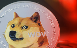 Dogecoin Now Down 90% from Musk-Fueled Price Peak