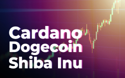Cardano, Dogecoin, Shiba Inu Post Double-Digit Gains as Market Rebounds