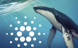 Cardano Whale Transaction Volume Soars – ADA Price Direction Change Likely, Santiment Says
