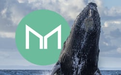 Maker (MKR) Faces 21% Spike in Whale Activity: Details
