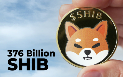376 Billion SHIB Bought by Whale as Shiba Is Back on Top 10 Most-Traded Tokens List