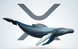 Half Billion XRP Moved from FTX and Other Top Exchanges: Whale Alert