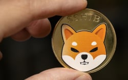 Shiba Inu Faces Spike in Purchases After Reaching Fundamental Support